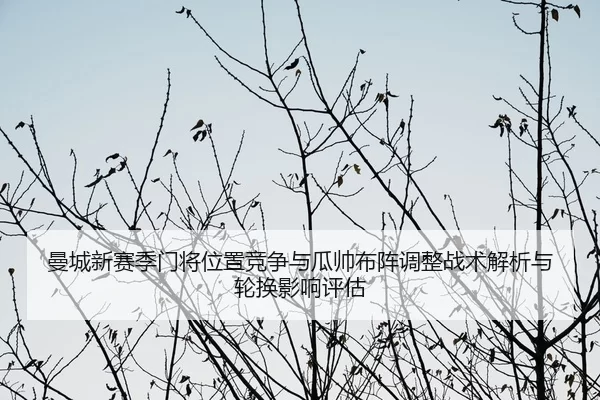 曼城新赛季门将位置竞争与瓜帅布阵调整战术解析与轮换影响评估