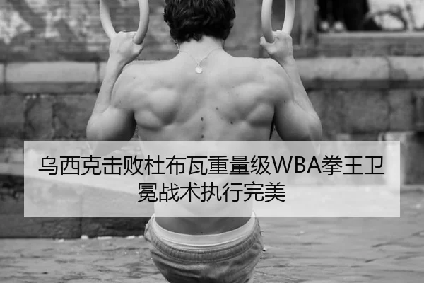 乌西克击败杜布瓦重量级WBA拳王卫冕战术执行完美